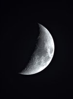 1731020519774.jpg