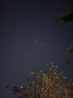 20241014_053012.jpg