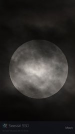 1726620399438.jpg