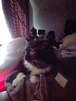 c5a26908-bf67-49ce-800e-ba065c69cfc4.jpg