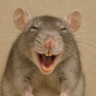 Kasta