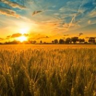 Harvest