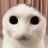 Bad Cat